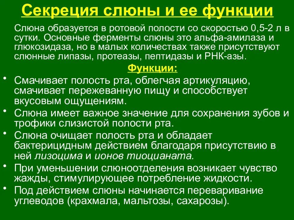 Состав сока слюны. Функции слюны. Секреторная функция ротовой полости. Основные функции слюны. Функции слюны в ротовой полости.