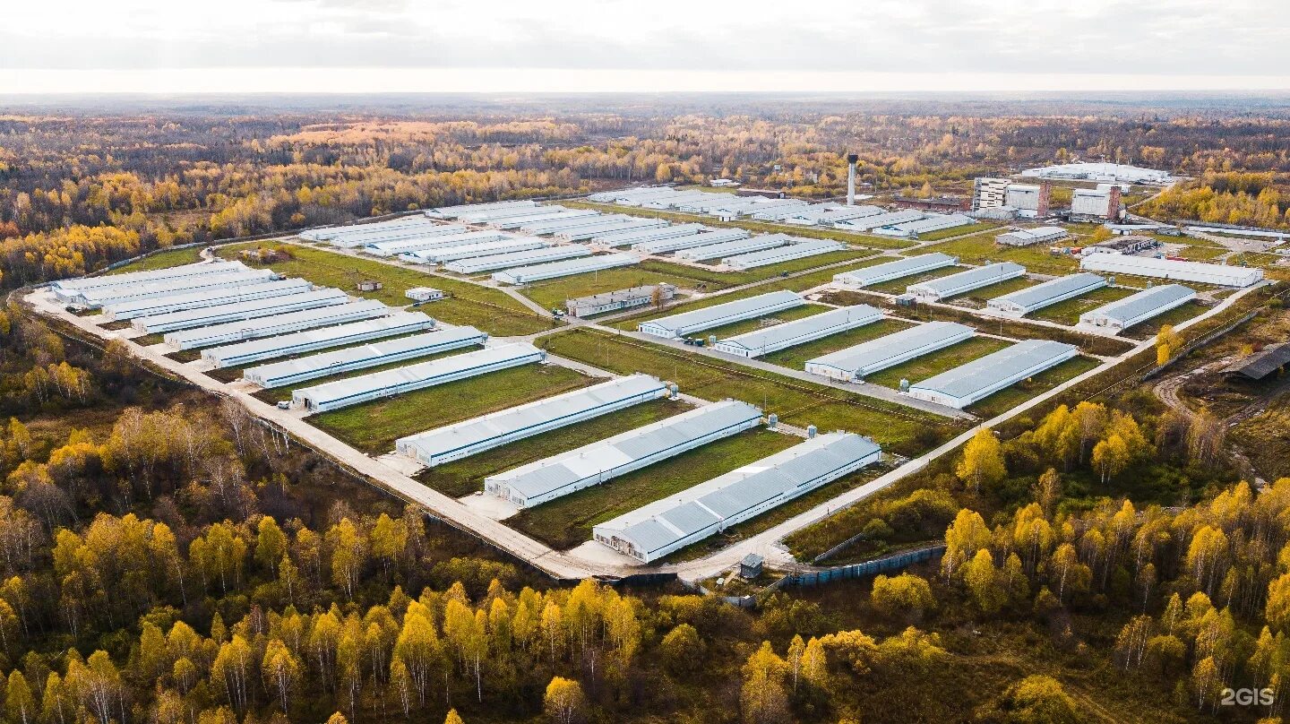 Промышленные предприятия. Современный цех. Компьютерная система. Современное производство. Фабрика нестле кубань.