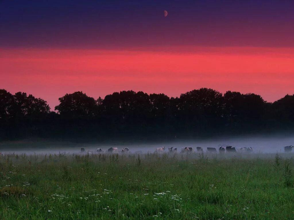 малиновый звон. заря заря заря алая заря. малиновый закат. малиновый звон текст песни. малиновая заря.
