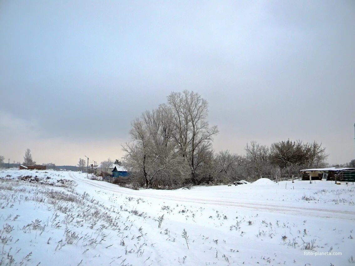 Село Волоконовка Белгородской области. С Волоконовка Чернянский район Белгородская область. Волоконовка Чернянский район. Село Волоконовка Чернянского района.