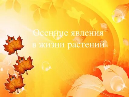 Осень в жизни растений 5 класс