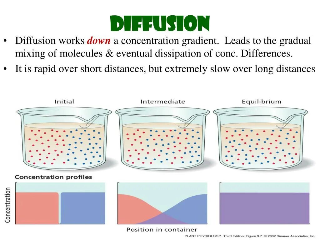 Stable diffusion control. Diffusion нейросеть. Схема работы stable diffusion. Stable diffusion логотип. Stable diffusion картины.