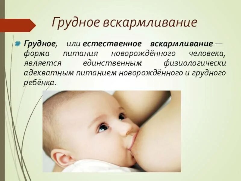 Что такое кормление