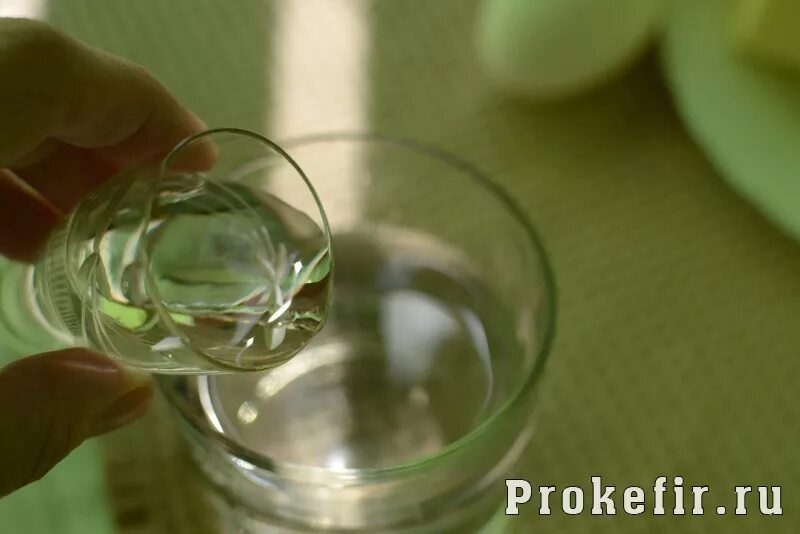 Устрицы жемчужницы черный жемчуг. Жемчужина растворяется в уксусе. Растворила жемчужину в уксусе. Жемчужина растворяется в уксусе. Клеопатра и жемчуг.