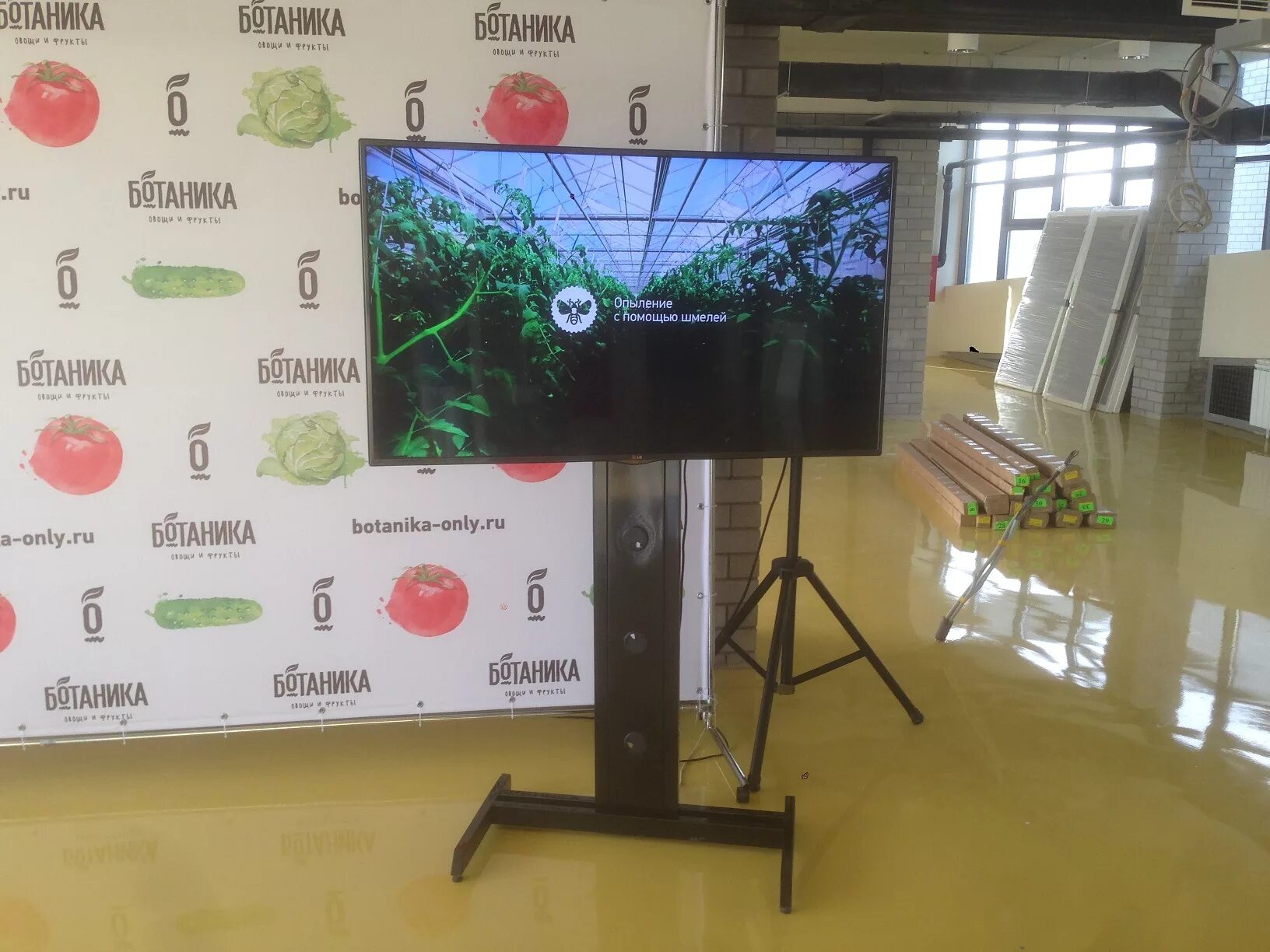 Vesa 100x100 кронштейн для телевизора samsung. кронштейн для жк телевизоров. Msw240 кронштейн для телевизора lg. крепление для телевизора на стену sanus. кронштейн vesa 400*400 для samsung dm55e.