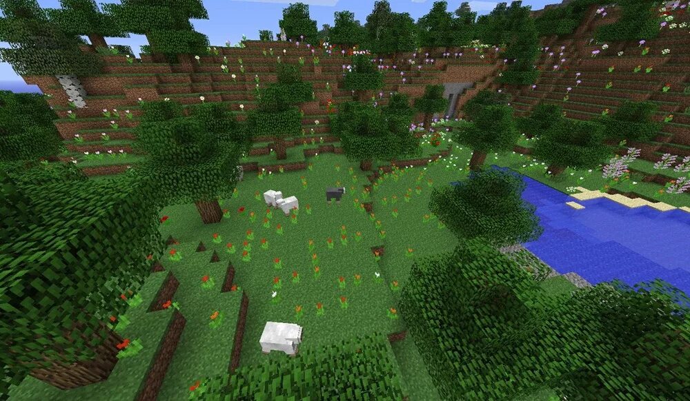 Биом окраина джунглей. Команда тп. Как найти биом через команду. Цветковый биом в майнкрафте. Биом тайга в майнкрафт.