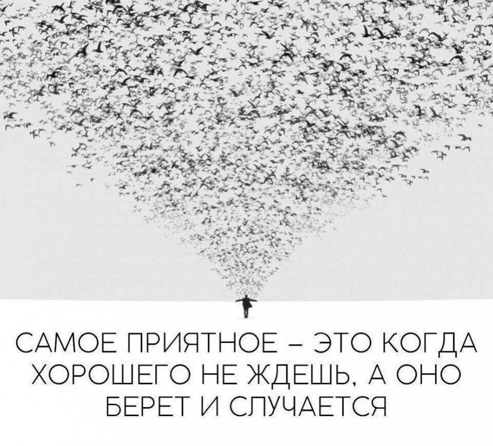 Порою нужен сбой в системе и шаг на ощупь в темноте. Порою нужен сбой в системе и шаг. Порою нужен сбой в системе и шаг на ощупь в темноте а иногда побыть. Иногда нужен сбой в системе. Нужен сбой в системе.