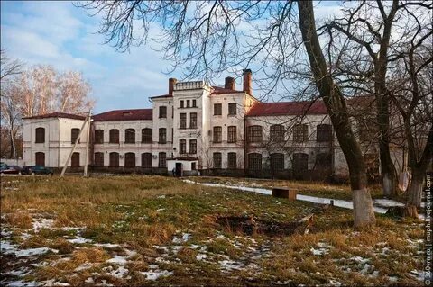 Психоневрологический диспансер воронеж улица 20 летия