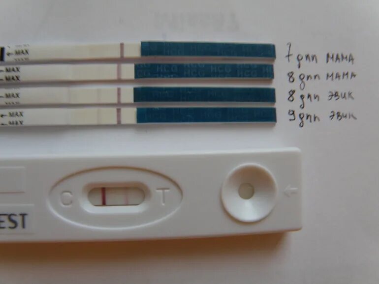 7 дпп пятидневок тест. 7 ДПП тест. 8 ДПП пятидневок тест отрицательный в крио. 6дпп крио пятидневка тест.
