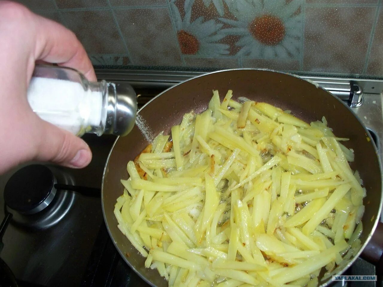Жареная картошка на терке. Посолить жареную картошку. Малосольная картошка. Соленая картофель. Нужно ли закрывать крышкой при жарке