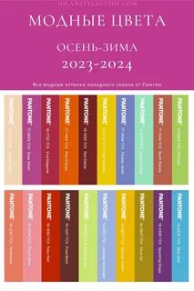 Цвет одежды на 2024