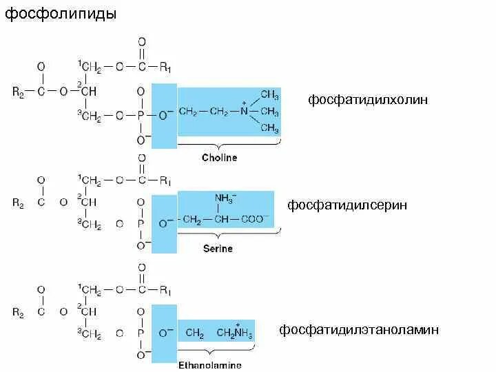 Уравнение синтеза: найдено 80 изображений