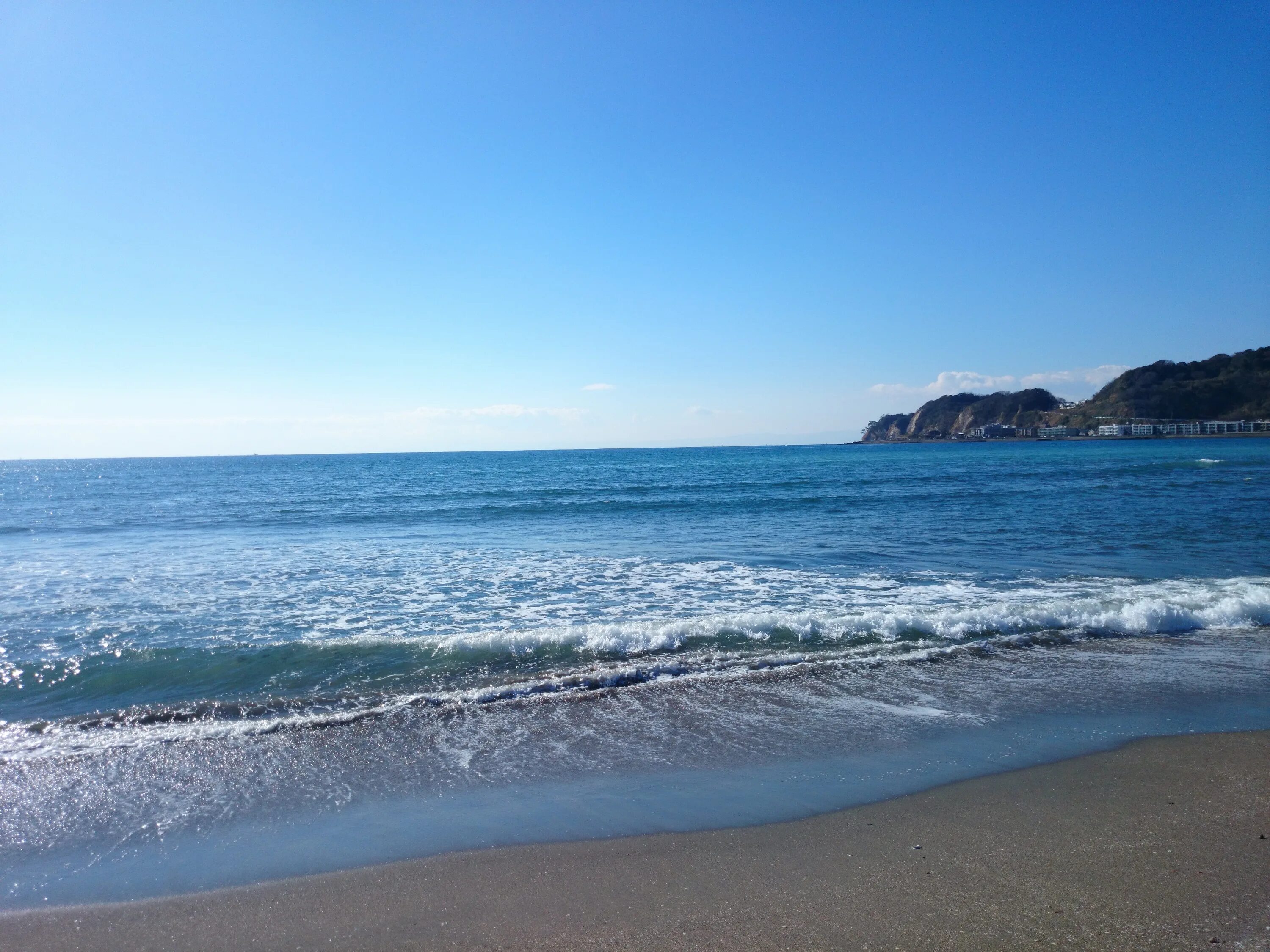 Камакура Япония пляж. Море. Морское побережье. Побережье японского моря. Хвойный океан