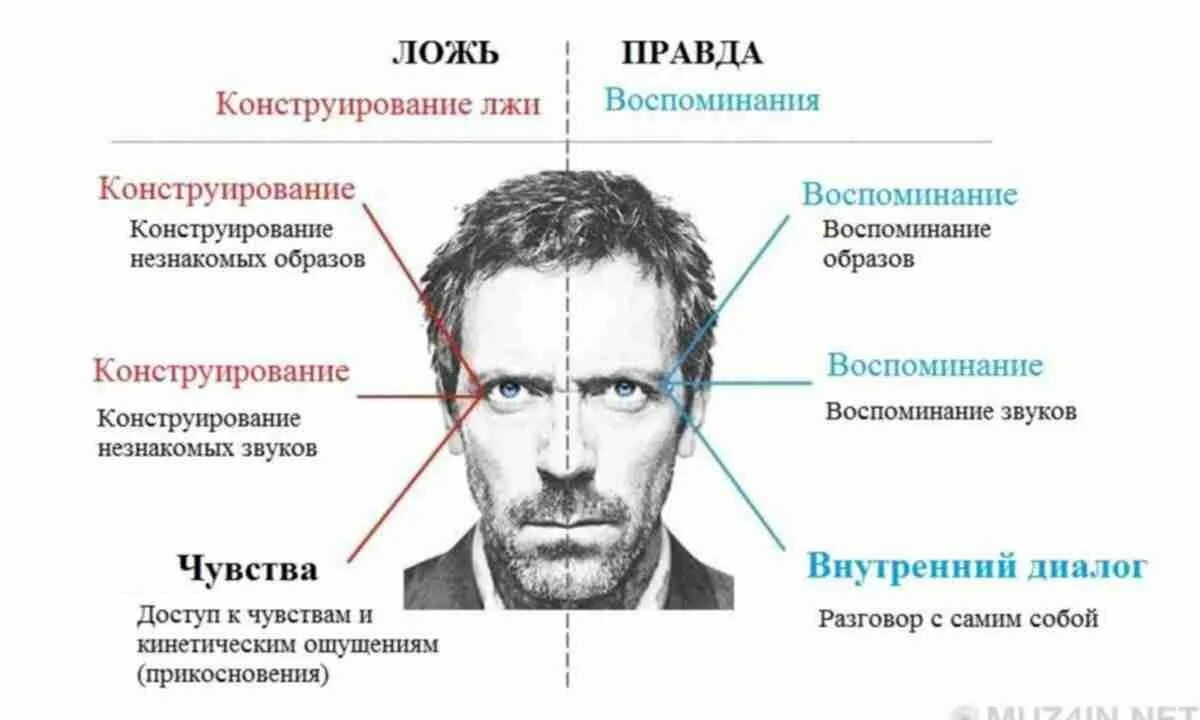 Наиболее значимые эмоции. Как понять что человек врет. Как понять что человей врёт. Распознать ложь по глазам. Взгляд человека психология.