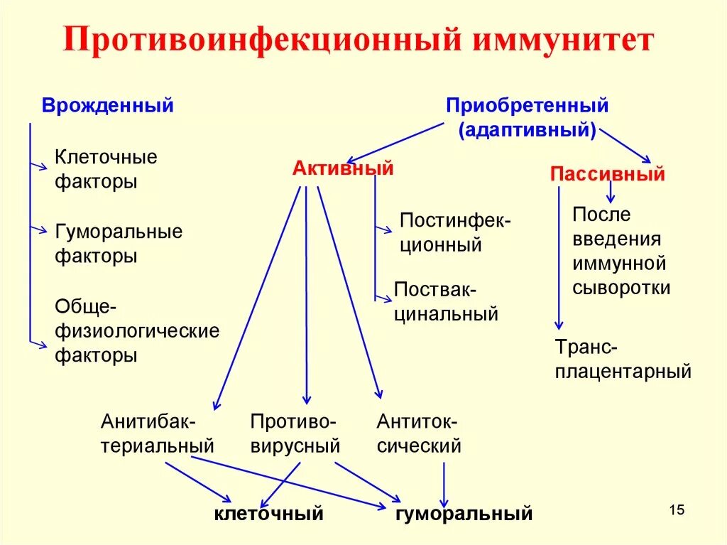 Факторы врожденного клеточного иммунитета схема. Противоинфекционный иммунный ответ схема. Классификация иммунитета схема. Приобретенный иммунитет схема иммунного ответа. Врожденный иммунный ответ