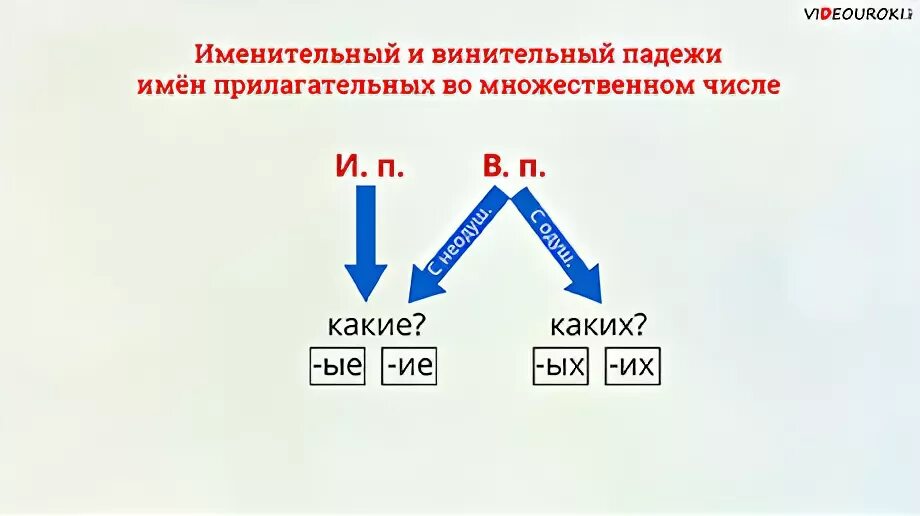 Винительный падеж имен прилагательных во множественном числе. Как определять родительный и винительный падежи имен прилагательных. Винительный падеж прилагательных множественного числа 4 класс. Именительный падеж и винительный падеж прилагательных 4 класс. Укажите падеж имен прилагательных множественного числа