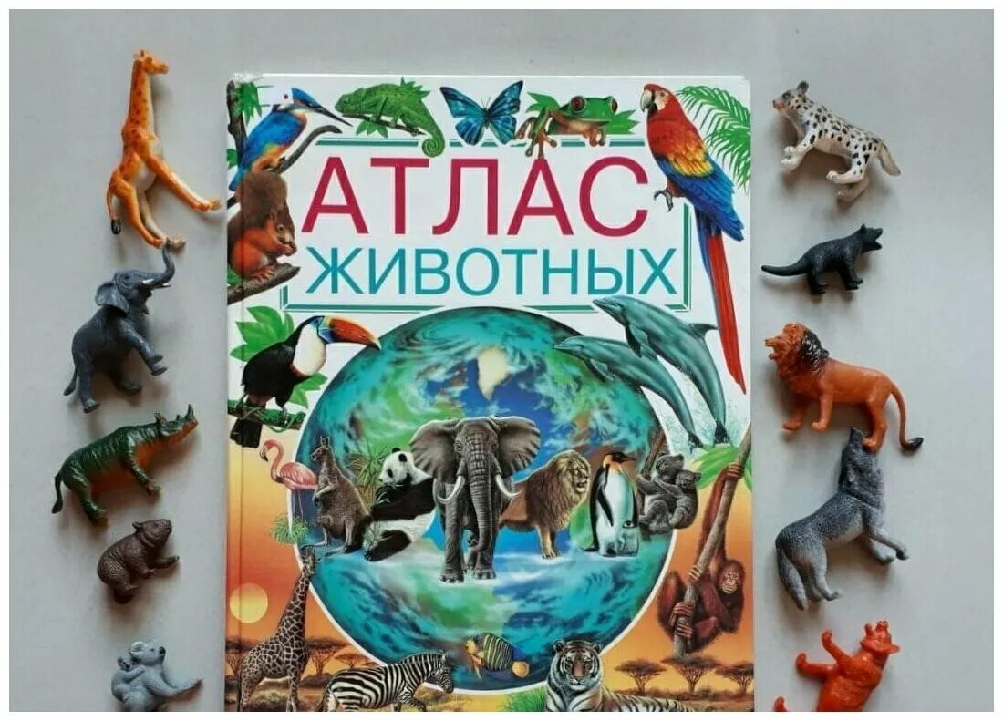 "атлас животных", плакаты. Иллюстрированный атлас для детей. Атлас животных. Книга атлас животных. Атлас с наклейками.