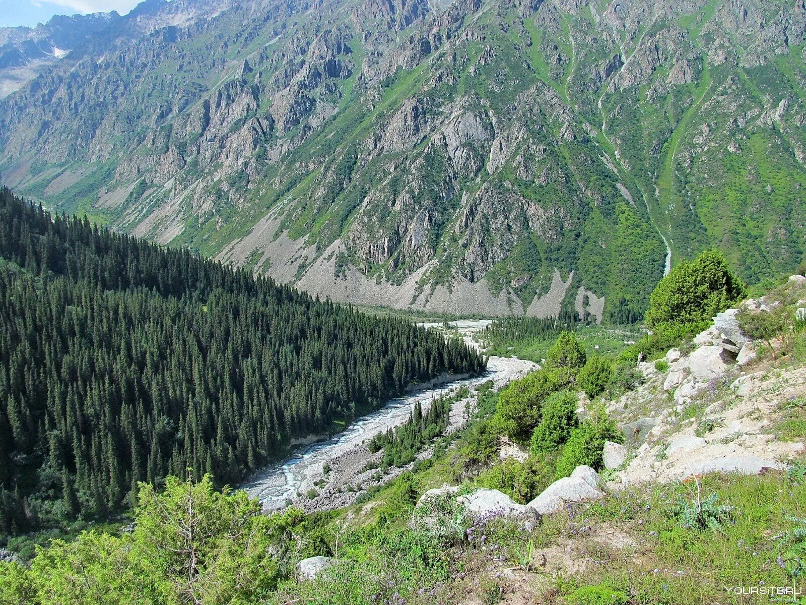 Парк ала арча. Ала Арча Киргизия. Природный парк ала Арча Кыргызстан. Ала Арчинское ущелье Киргизия. Ущелье ала Арча.