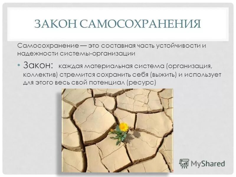 Система самосохранения. Закон самосохранения. Закон самосохранения организации. Закон самосохранения формула. Закон самосохранения в теории организации.