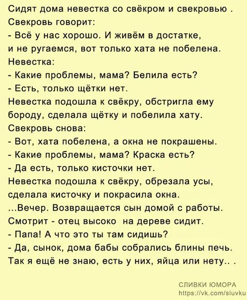 Анекдоты про свекровь и невестку. Отношения со свекровью. Рассказы про свекровь и невестку. Про отношения со свекровью цитаты. Что делать если мама изменяет