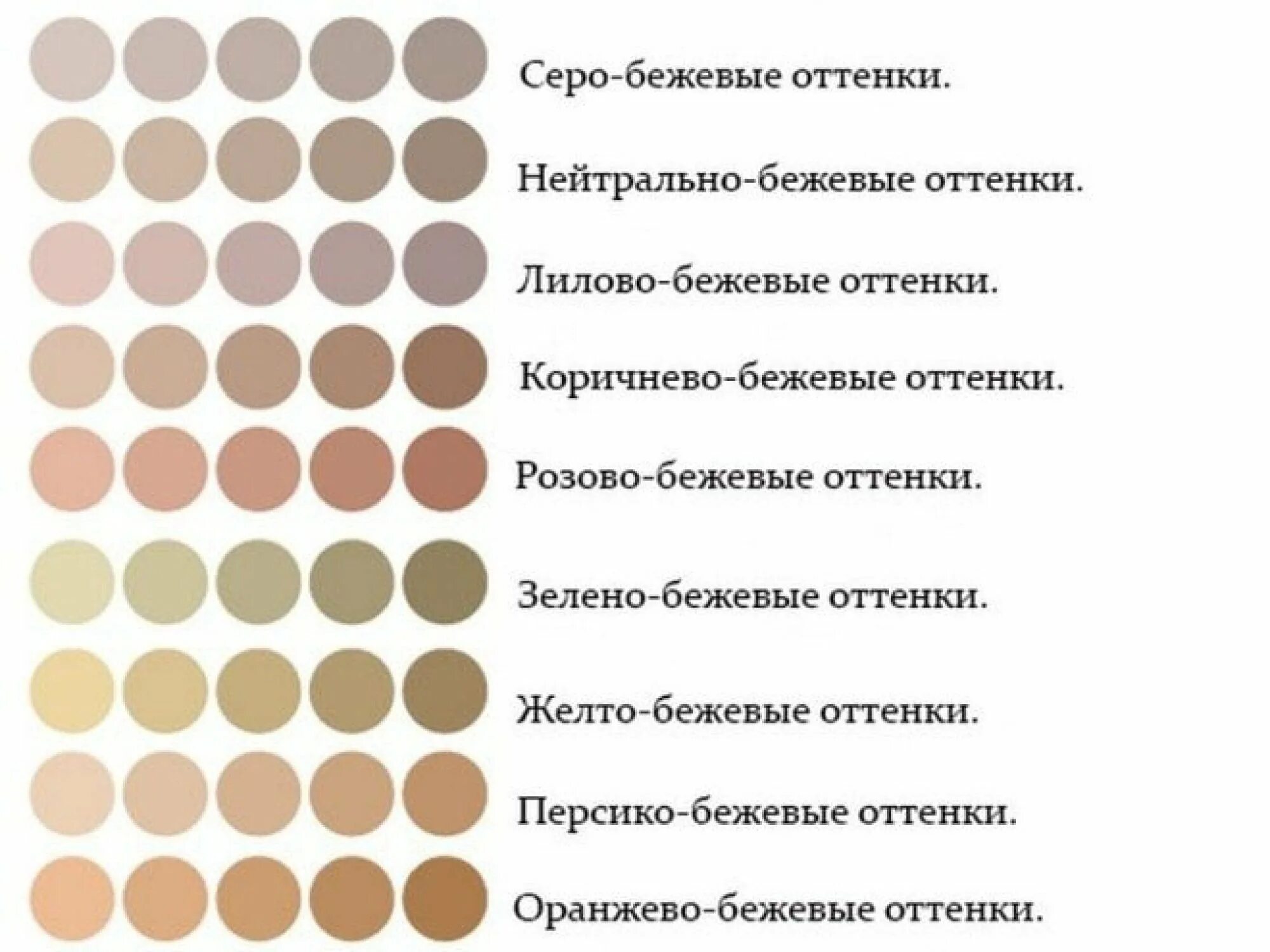 Beige brown. Бежевый цвет. Оттенки бедевого света. Оттенки бежевого цвета. Сочетание бежевого цвета.