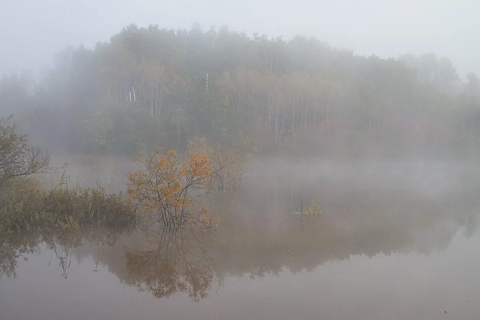 Хабаровск туман. Черноголовка туман. Туман Люберцы. Туман над водохранилищем. Кончаться туман