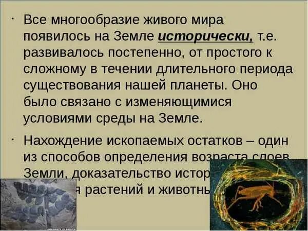 Миногообразное живово мир. Разнообразие организмов на земле. Разнообразие живых организмов.