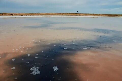 Какое озеро является соленым чудское ханка эльтон