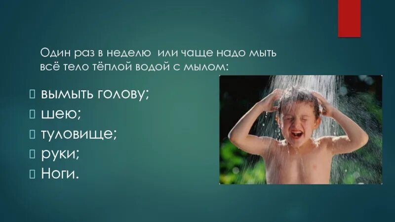 Сколько раз надо мыться. Сколько надо мыться в день. Мыться раз в неделю. Сколькотраз надо мыться. Можно мыть голову раз в неделю