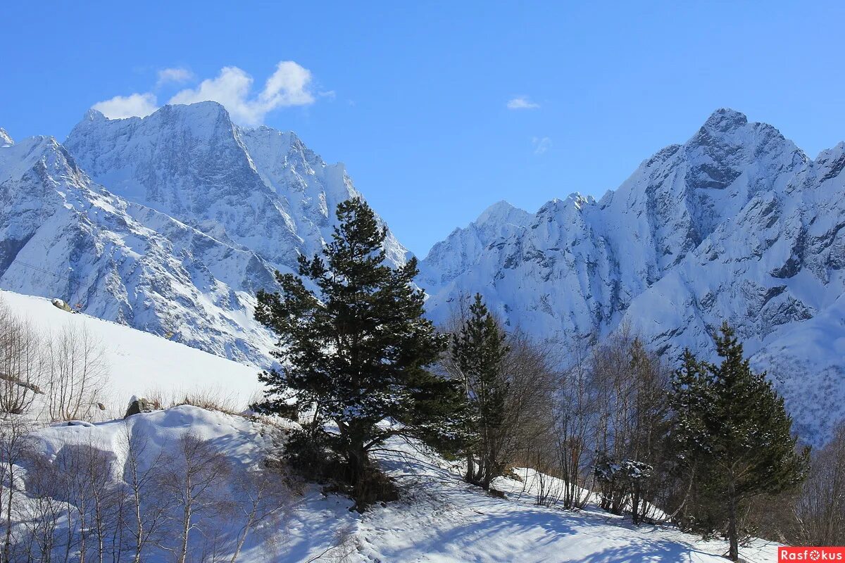 пик обзорный теберда. домбай (горная территория). гостиница шале домбай. теберда домбай зимой. домбай (курортный посёлок).