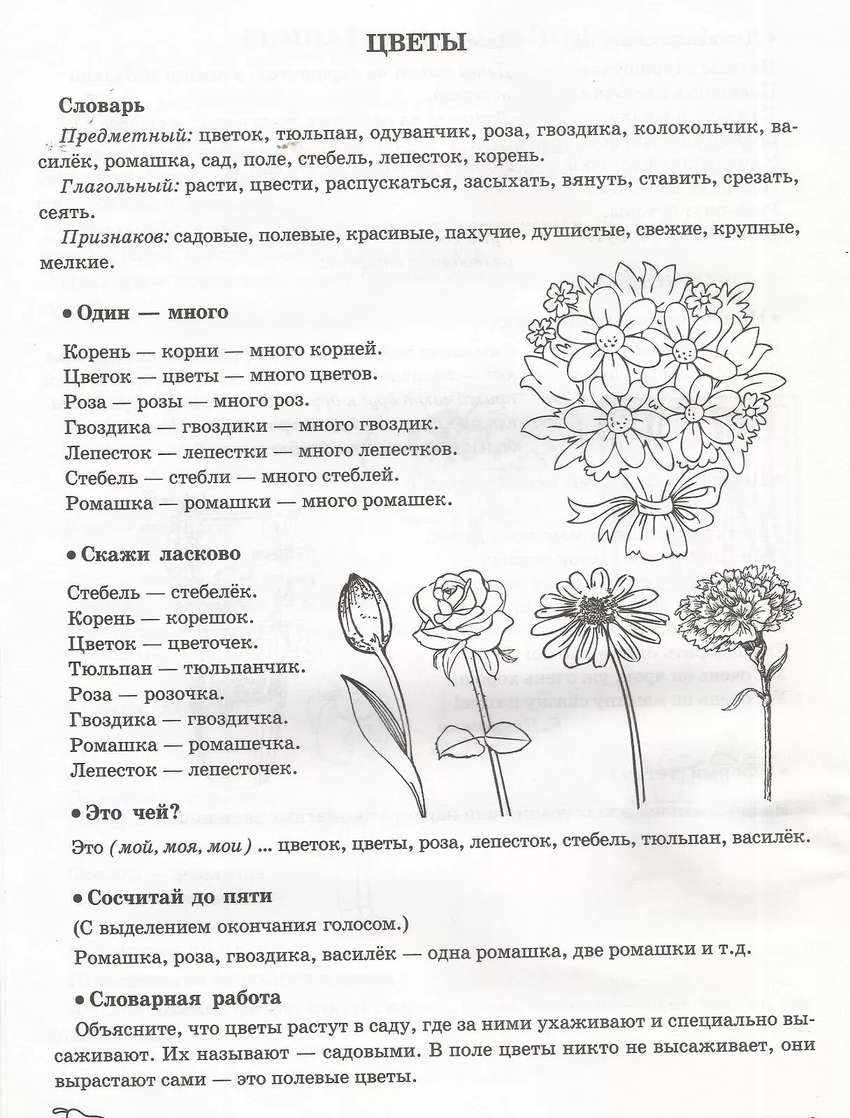 Тема цветы для дошкольников задания логопеда. Цветы задание логопеда для дошкольников. Домашнее задание по теме цветы. Лексическая тема цветы