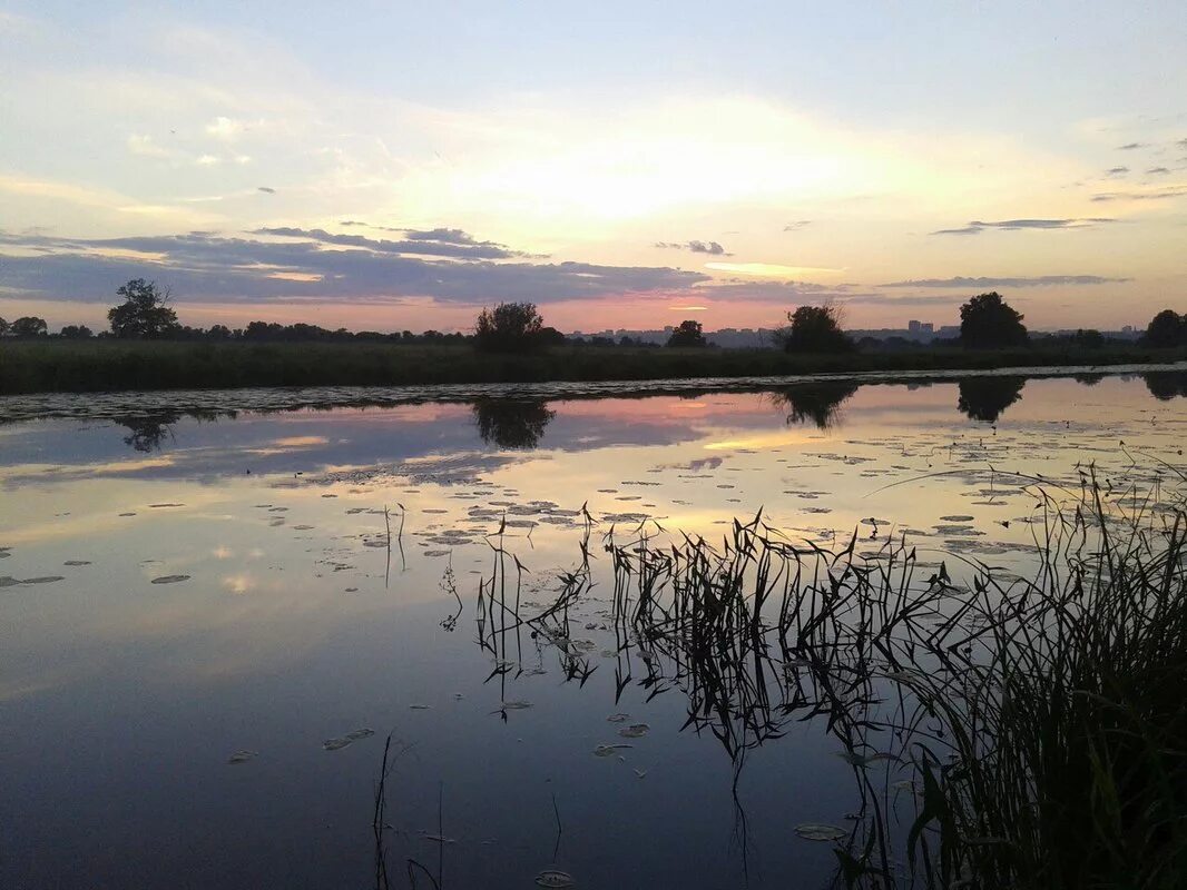 Уровень воды в реке клязьма. Река Клязьма Ногинск. Река Клязьма ковров. Исток реки Клязьма.