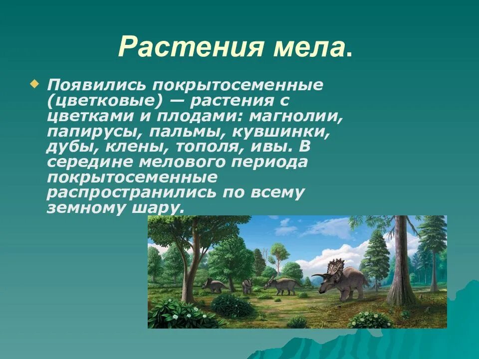 Мезозойская животные растения. Мезозойская Эра мел растения. Покрытосеменные растения мезозойской эры. Меловой период мезозойской эры растения. Покрытосемянные растения меловой период.