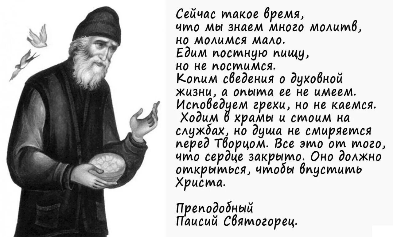 Предсказания святогорца. Паисий Святогорец изречения. Преподобный Паисий Святогорец. Старец Паисий Святогорец. Прп Паисий Святогорец поучения.