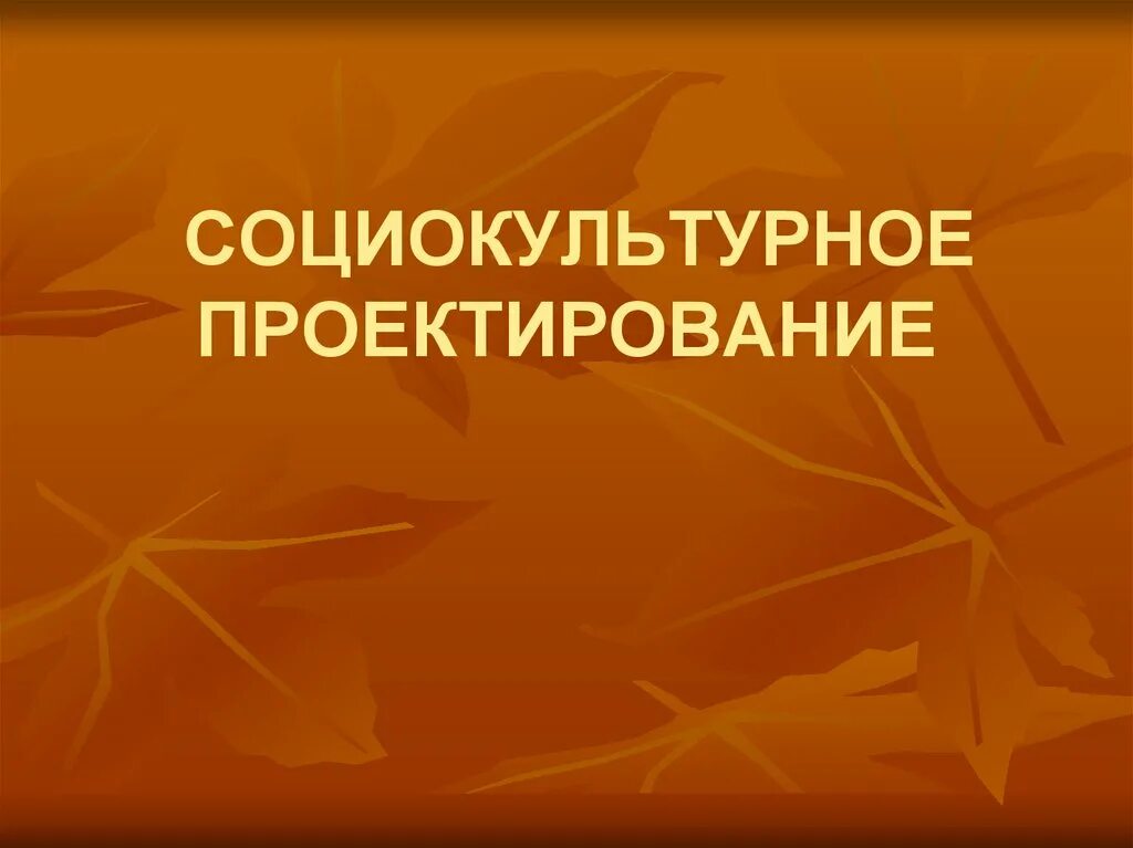 Социально культурное проектирование проект
