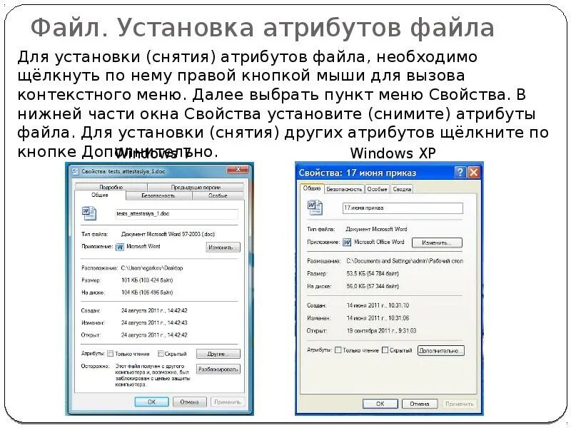 Что относится к атрибутам файла. Установка файла. свойства файла. установленные файлы. атрибуты файлов windows.