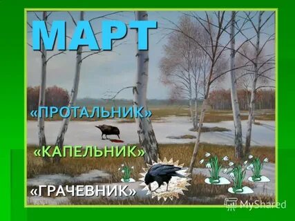 Март капельник