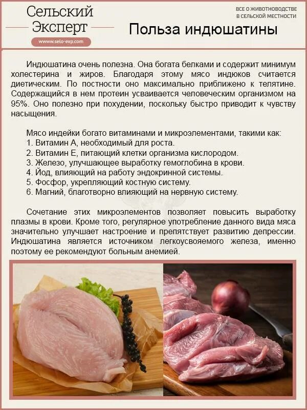 Чем полезна индейка. Чем полезно мясо индейки. Мясо индейки польза. Чем полезен мясо индейки. Полезное мясо кур