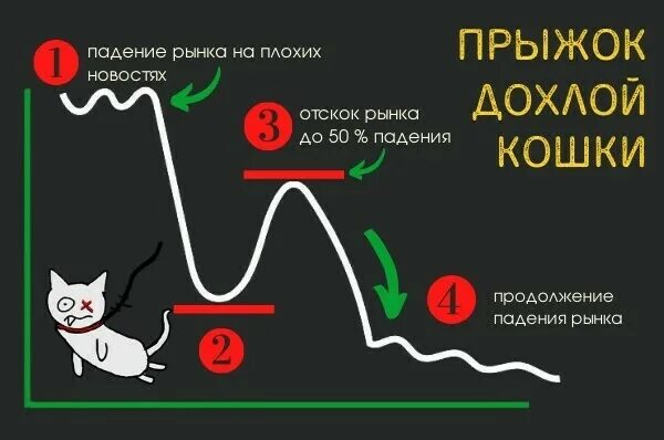 Отскок дохлой кошки. Прыжок дохлой кошки. Отскок дохлой кошки в трейдинге. Прыжок дохлой кошки в трейдинге. Ловители домашних животных трейдинг коды