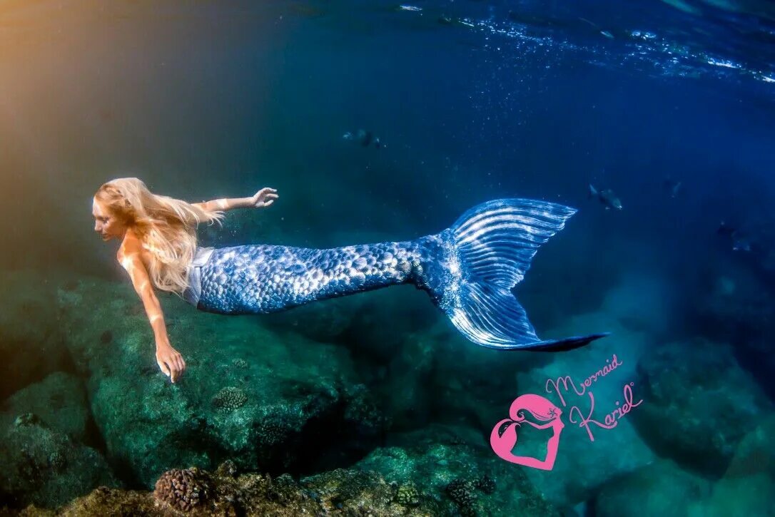 Русалки настоящие. Русалки настоящие. Как выглядят русалки в жизни. Русалки настоящие. Как выглядят русалки в жизни.