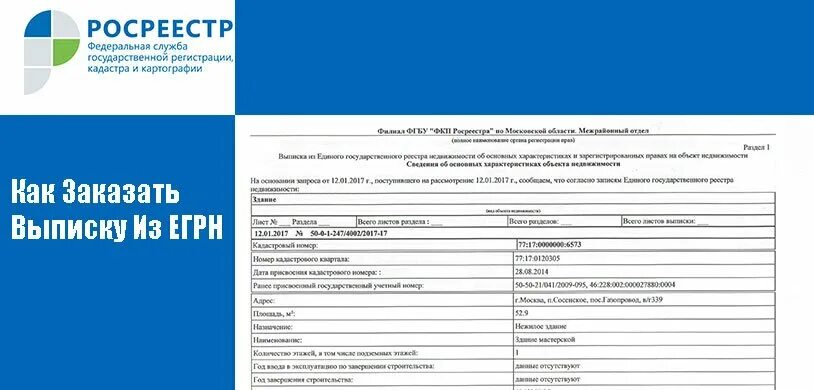 Выписка егрн на несовершеннолетнего через госуслуги. Выписка из егрн. выписка егрн из росреестра. выписка из единого государственного реестра недвижимости (егрн). электронная выписка из егрн.