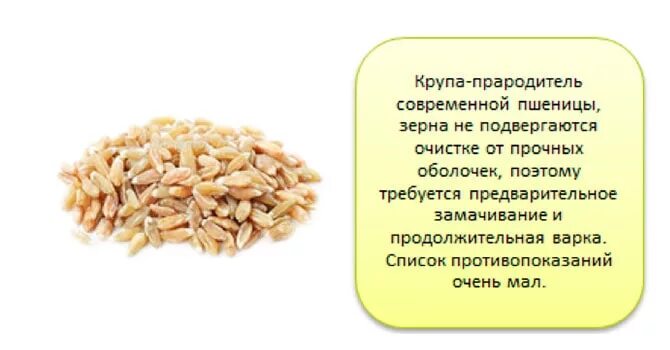 Что такое крупа полба из чего она. Полба злаковая культура. полба крупа. полба крупа польза. полбяная крупа из какого злака.