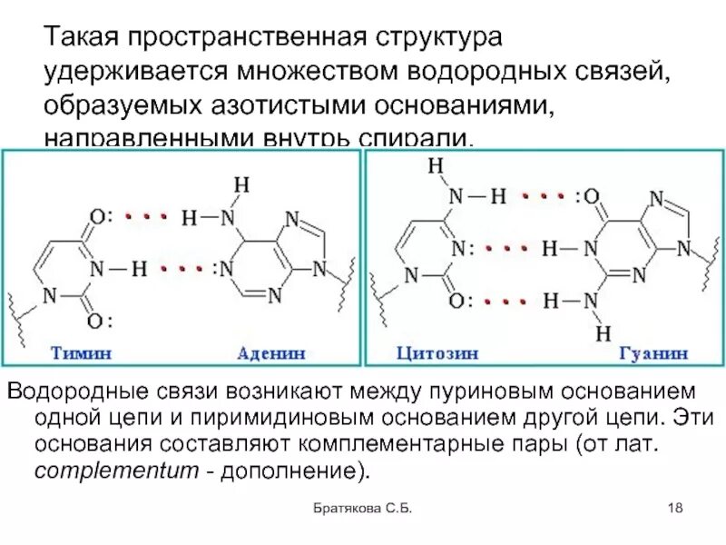 Водородный связи между аденином и тимином. Пуриновые и пиримидиновые основания связи. Водородные связи в комплементарных парах нуклеиновых оснований РНК. Азотистые основания нуклеиновых кислот. Пуриновые основания РНК.