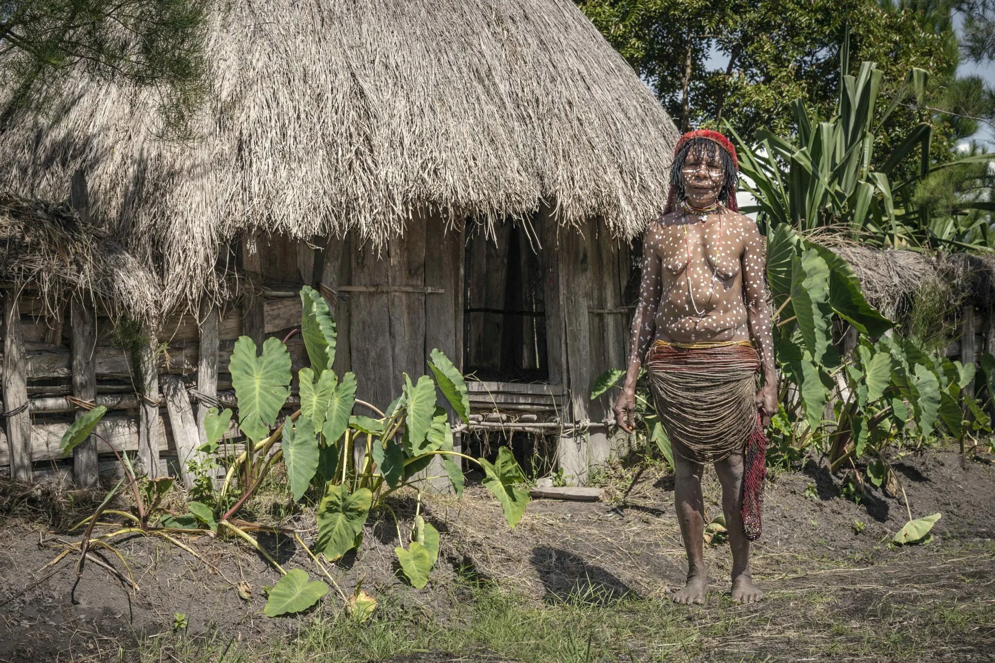 Племя новая Гвинея Дани Гвинея. Папуа новая Гвинея племя Дани.