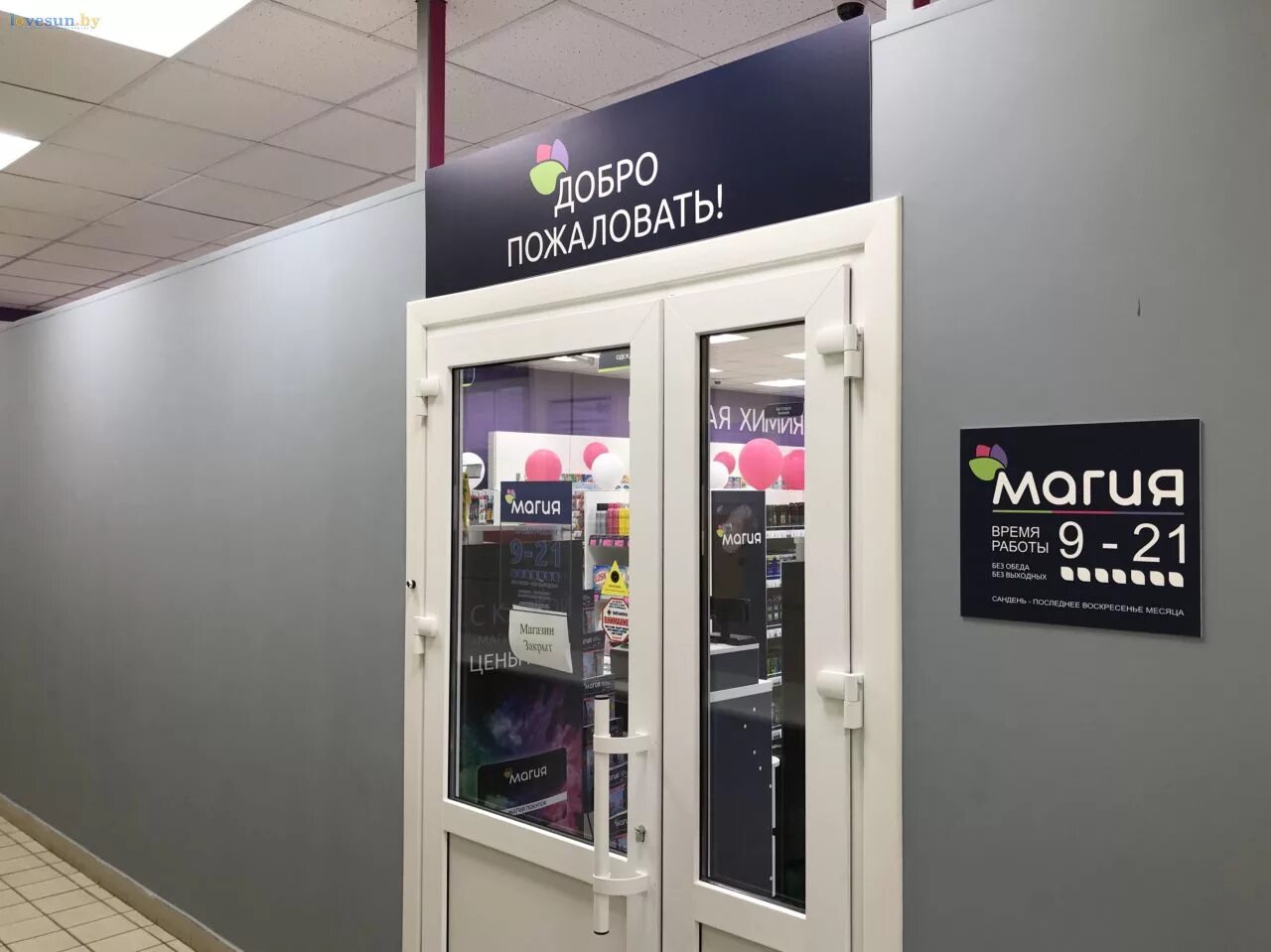 пятый элемент светлогорск