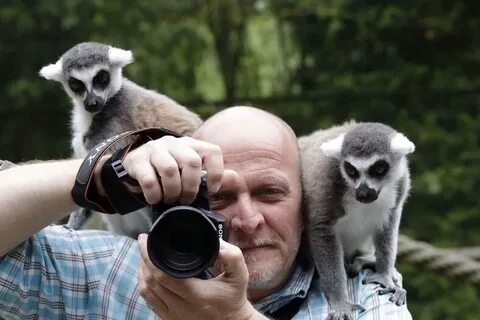 Фотограф дикой