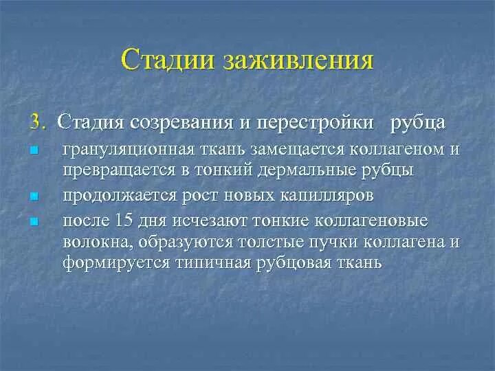 Стадии заживления после. Грануляционная ткань этапы.