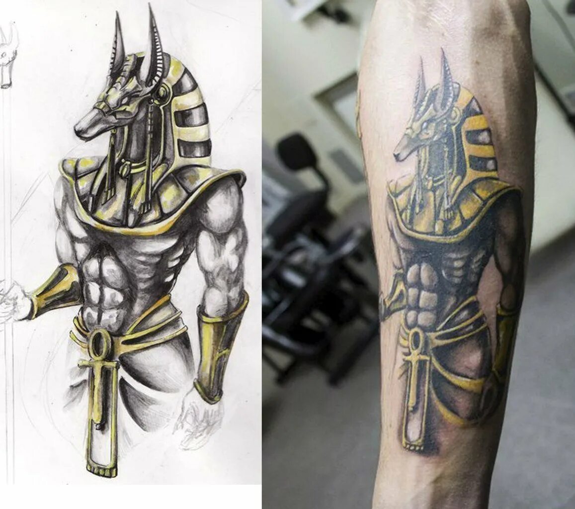 татуировка анубиса на руке. тату анубис на предплечье. анубис бог тату. анубис тату. анубис реализм.