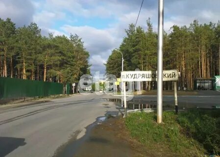 Кудряши новосибирская