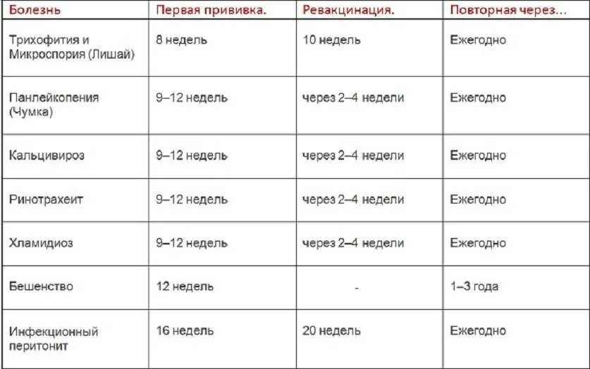 Возраста нужно в первую. Схема прививок для котенка. График прививок для кошек таблица. Когда котятам делают 1 прививку. Прививки кошкам по возрасту таблица.